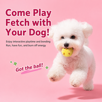 2-Piece Yellow Chick Squeaky Ball Dog Toy Set with TPR Thorn Ball Inside - Soft Plush Pet Chew Toys for Dogs & Cats
