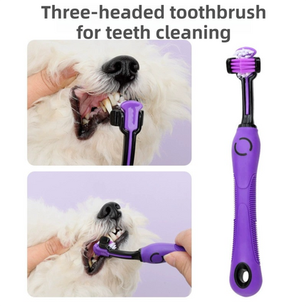 Pet Grooming & Cleaning Kit 9 Piece Set with Shedding Brush, Steel Comb + Scissors, Nail Clippers + File, Bath Brush + Massage Glove, 3 Head Toothbrush and Storage Bag for Dog & Cat