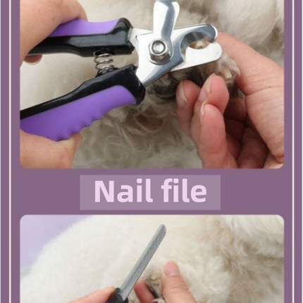 Pet Grooming & Cleaning Kit 9 Piece Set with Shedding Brush, Steel Comb + Scissors, Nail Clippers + File, Bath Brush + Massage Glove, 3 Head Toothbrush and Storage Bag for Dog & Cat