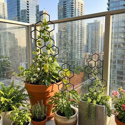 10 Pack Indoor Plant Climbing Trellis Set - Lightweight Honeycomb Garden Support Stakes, No Assembly Required for Potted Plants, Ivy, Monstera & Vines (38 x 15 cm)