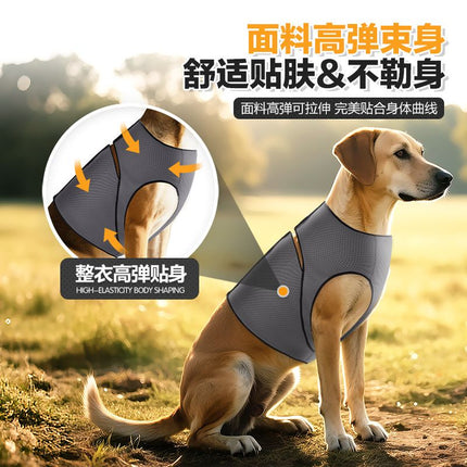 Blue S Size Dog Anxiety Relief Set – surface and form
