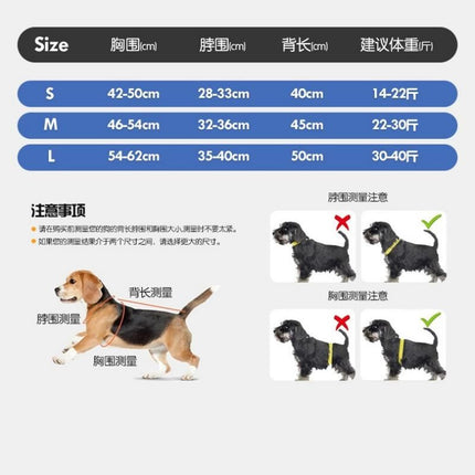 Blue S Size Dog Anxiety Relief Set – additional product detail