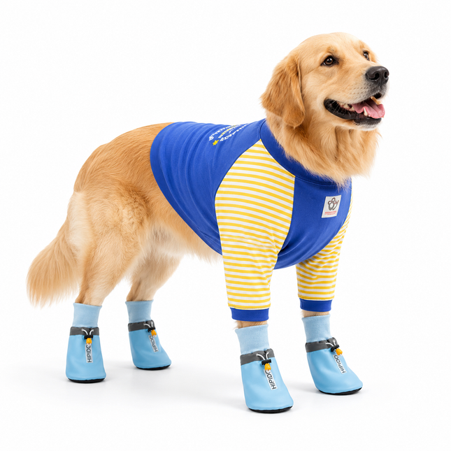 Blue 3XL Size Dog Protective Care V888-ELOSUNG56042