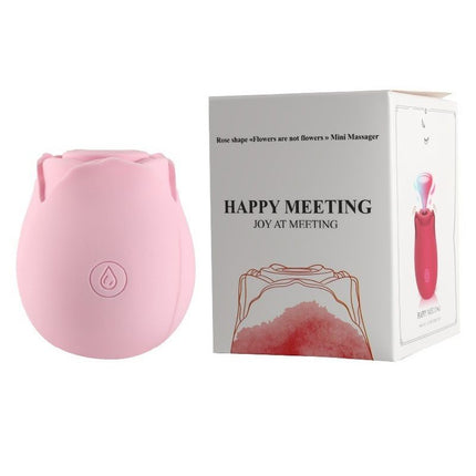 Pink Rose Sucking Vibrator - Silicone & ABS, 10 Frequency Pulse Suction, Waterproof Rechargeable Clitoral Massager for Women